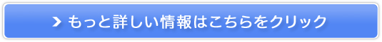 A[glC`[{Vv[(p)̔TCg